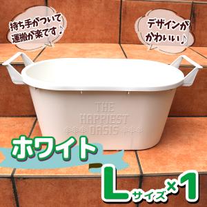 ITANSE 人気の植木鉢 かわいくて運搬楽々 取っ手付プランター Lサイズ ホワイト 1個 野菜 花 果樹 ハーブの鉢として人気 送料無料 イタンセ公式