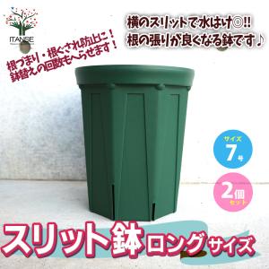 ITANSE スリット鉢 資材 7号ロングサイズ お買い得2個セット鉢 ポット プランター 菜園鉢 家庭菜園 ガーデニング 送料無料 イタンセ公式｜itanse