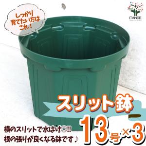 ITANSE スリット鉢 資材 13号 お買い得3個セット ポット プランター 菜園鉢 家庭菜園 ガーデニング 送料無料 イタンセ公式｜itanse