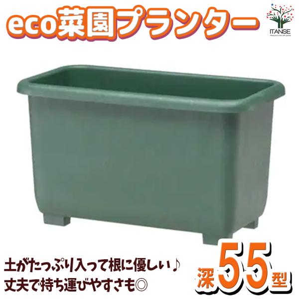 ITANSE eco菜園プランター 鉢色：ダークグリーン 深55型 1個売り鉢 ポット プランター ...