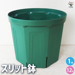 ITANSE スリット鉢 プラ鉢 9号/1個売り 鉢 植木鉢 鉢植え スリット