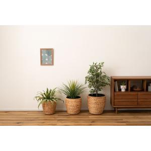 プランター GRNB-51S 鉢入れ アジアン 観葉植物 植物 ウォーターヒヤシンス 雑貨 インテリア 室内 編み かご 円型 7号用｜itcom-ec