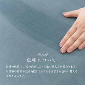 ソファ ルコ2P ruko2P 北欧 リビング...の詳細画像5