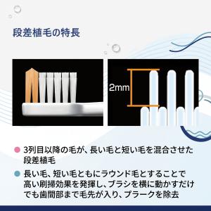 GC ジーシー ルシェロ B-20 M 歯ブラ...の詳細画像2