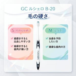 GC ジーシー ルシェロ B-20 M 歯ブラ...の詳細画像3