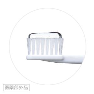 ライオン DENT チェックアップ ジェルミン...の詳細画像1