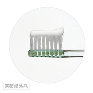 ライオン DENT チェックアップ コドモ グ...の詳細画像1