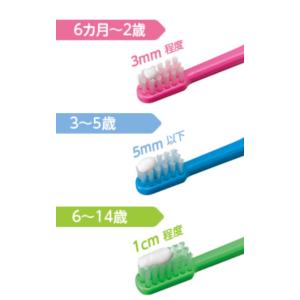 ライオン DENT チェックアップ コドモ グ...の詳細画像2