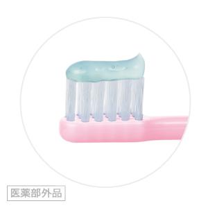 ライオン DENT. チェックアップ ルートケ...の詳細画像1