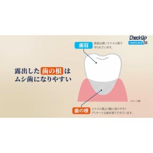 ライオン DENT. チェックアップ ルートケ...の詳細画像3