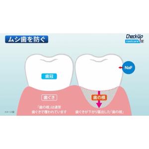 ライオン DENT. チェックアップ ルートケ...の詳細画像4