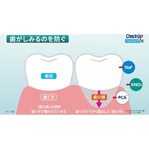 ライオン DENT. チェックアップ ルートケ...の詳細画像5