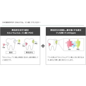 3M クリンプロ 歯みがきペースト F1450...の詳細画像2