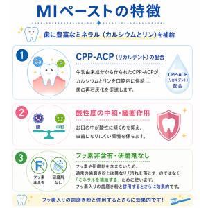 GC ジーシー MIペースト ストロベリー ヨ...の詳細画像2