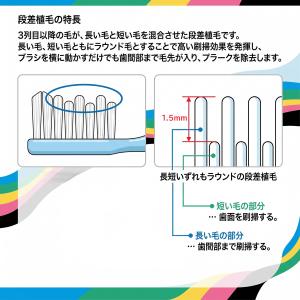 GC ジーシー ルシェロ B-10 M 歯ブラ...の詳細画像2