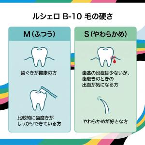 GC ジーシー ルシェロ B-10 M 歯ブラ...の詳細画像3