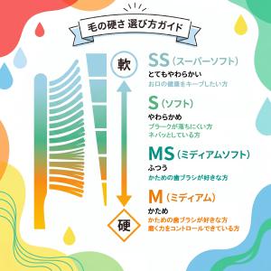 オーラルケア タフト24 MS 10本 アソー...の詳細画像3
