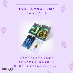 セレマ タロット Thelema Tarot ...の詳細画像5