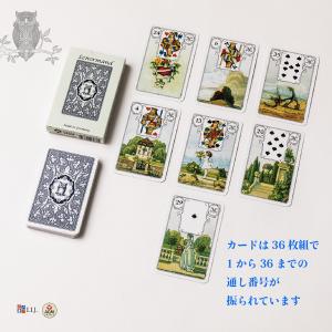 ブルーオウル・ルノルマン Lenormand ...の詳細画像5