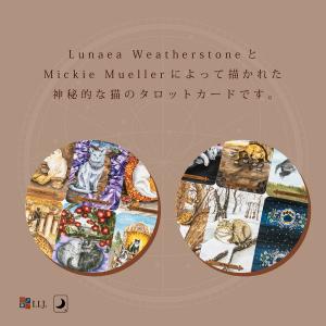 ミスティカル キャッツ タロット Mystic...の詳細画像4