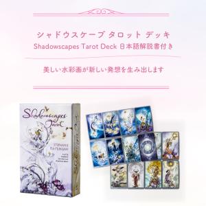 タロットカード 78枚 ライダー版 タロット占い シャドウ スケープ タロット　Shadowscapes Tarot 日本語解説書付き　