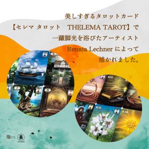 セレマ ルノルマン Thelema Lenor...の詳細画像3
