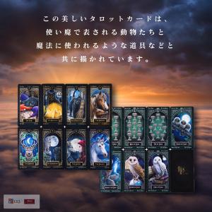 タロット ファミリア Tarot Famili...の詳細画像5