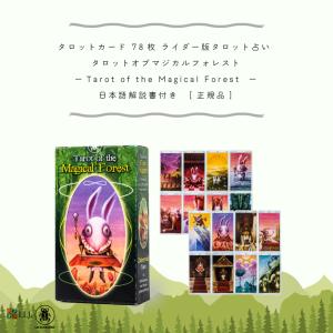 タロット オブ マジカル フォレスト Taro...の詳細画像2