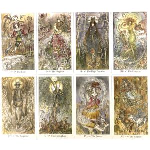 パウリナ タロット Paulina Tarot...の詳細画像2