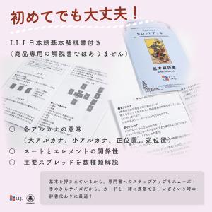 ブック・オブ・トート エッティラ タロット T...の詳細画像4