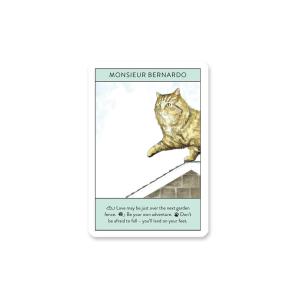 キャット グル カード Cat Gurus オ...の詳細画像3