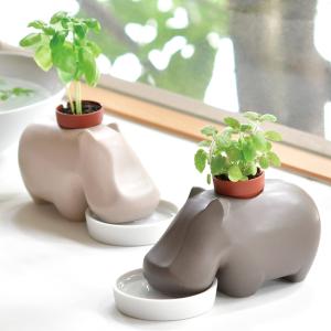 栽培キット ワイルドストロベリー ミニヒマワリ 四つ葉のクローバー 聖