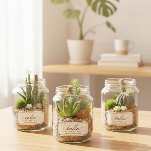 CT触媒 消臭 フェイクグリーン 人工観葉植物...の詳細画像4