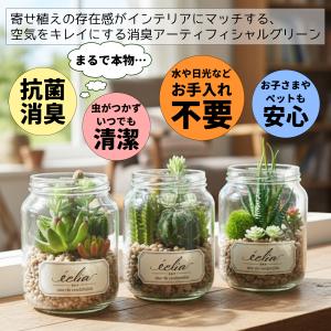 CT触媒 消臭 フェイクグリーン 人工観葉植物...の詳細画像5
