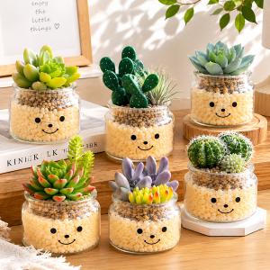 CT触媒 消臭 フェイクグリーン 人工観葉植物 造花 インテリア雑貨 置物 抗菌 アーティフィシャルグリーン テラリウム サボテン 多肉植物 ファミーユ 送料無料