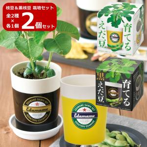 枝豆＆黒枝豆 2個セット えだまめ 栽培セット GD-979 園芸 キット ガーデニング プレゼント ギフト 贈り物 春休み 夏休み 母の日 父の日 夏 枝豆 送料無料 爆買