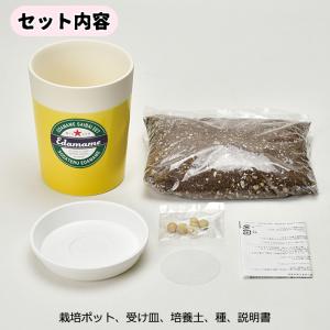 枝豆&黒枝豆 2個セット えだまめ 栽培セット...の詳細画像3