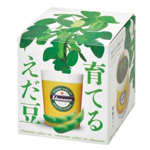 枝豆&黒枝豆 2個セット えだまめ 栽培セット...の詳細画像4