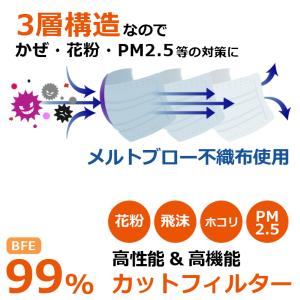 個包装 カラー マスク 不織布 在庫あり 50...の詳細画像2