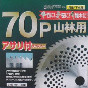 鬼の爪 70P山林用チップソー 255×70P 5枚組:FT-008×5 鬼の爪 70P山林用チップソー 255×70P 5枚組:FT-008×5