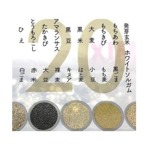 (カネス 二十穀 もち麦入り 1140g(30...の詳細画像4