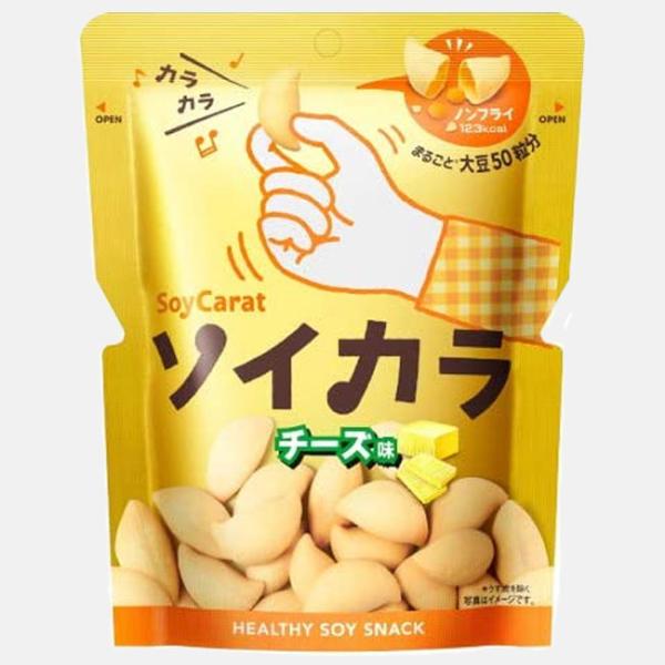 Otsuka（大塚製薬）ソイカラ チーズ味 18袋セット