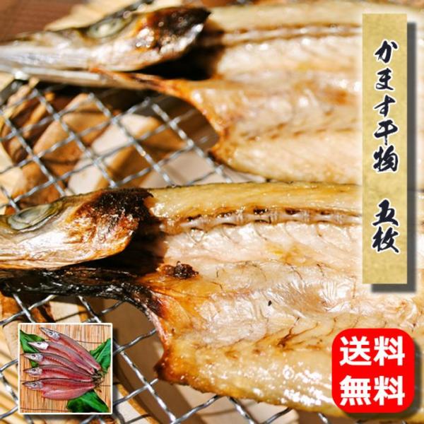 ☆送料無料☆【相模湾産】かます干物　5枚--秋に小田原を代表する魚です♪