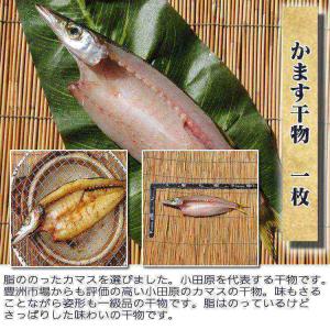 送料無料♪【国産】旬彩干物セット〜旬の魚だけで...の詳細画像5