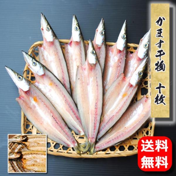 ☆送料無料☆【相模湾産】かます干物　10枚--秋に小田原を代表する魚です♪