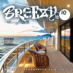BREEZY Vol.10 / DJ PEPE