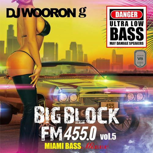 BIG BLOCK FM455.0 vol.5 MIAMI Mixxx / DJ WOORON-G