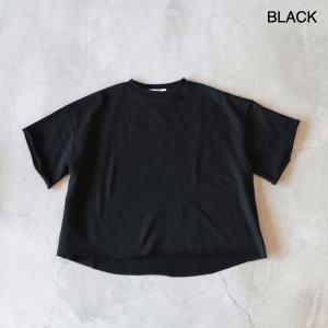 cuore store クオーレストア ワイド...の詳細画像5