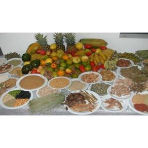 エコシア 酵素, 植物発酵食品, 90袋(+30袋無料)