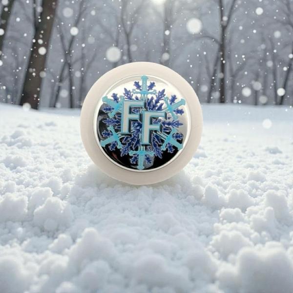 ARCADE SHOCK SANWA DENSHI Frosty Faustings PARTS (...